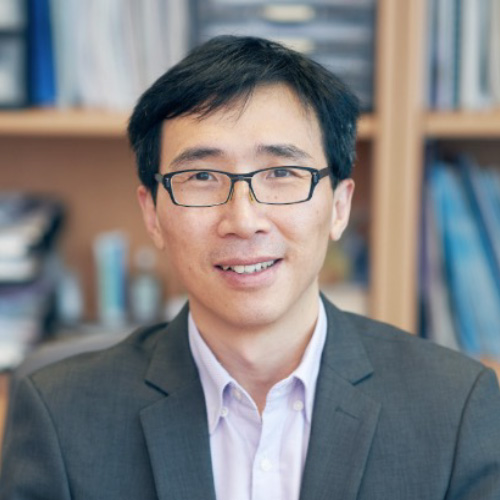 Prof FAN Hongjin